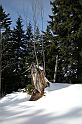 Sa_Wanderung auf First